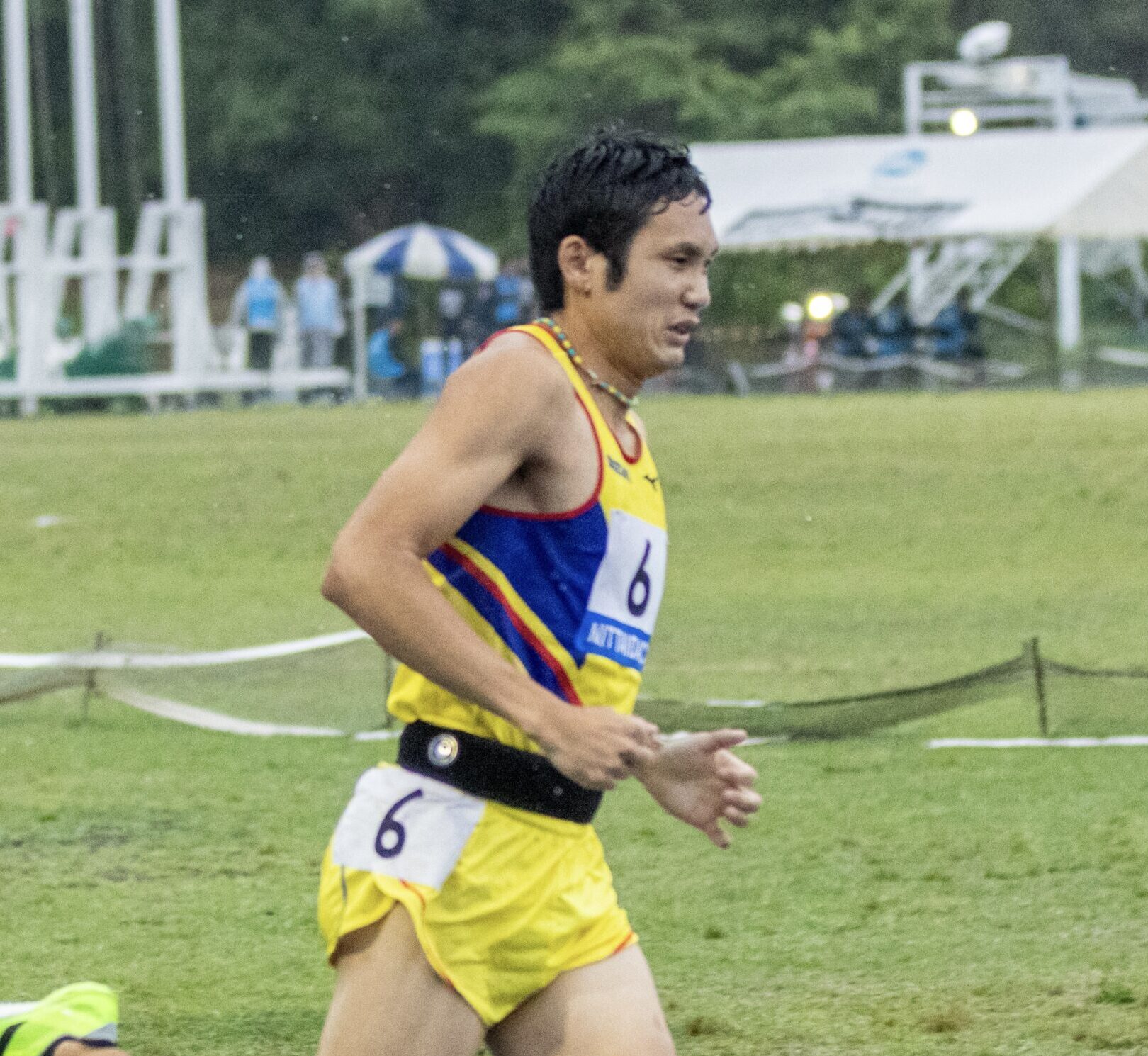 写真：日体大競技会