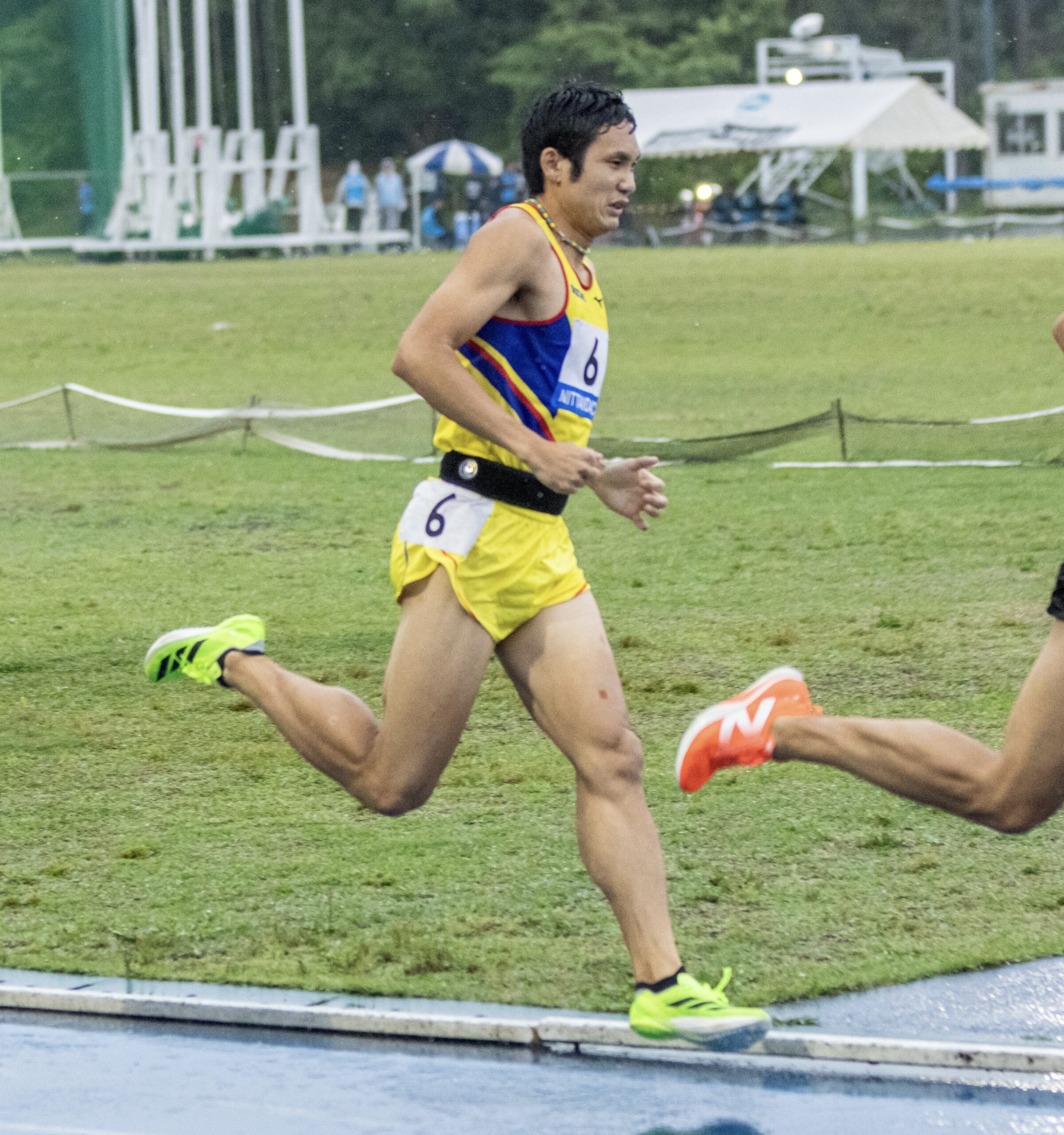 写真:日体大競技会