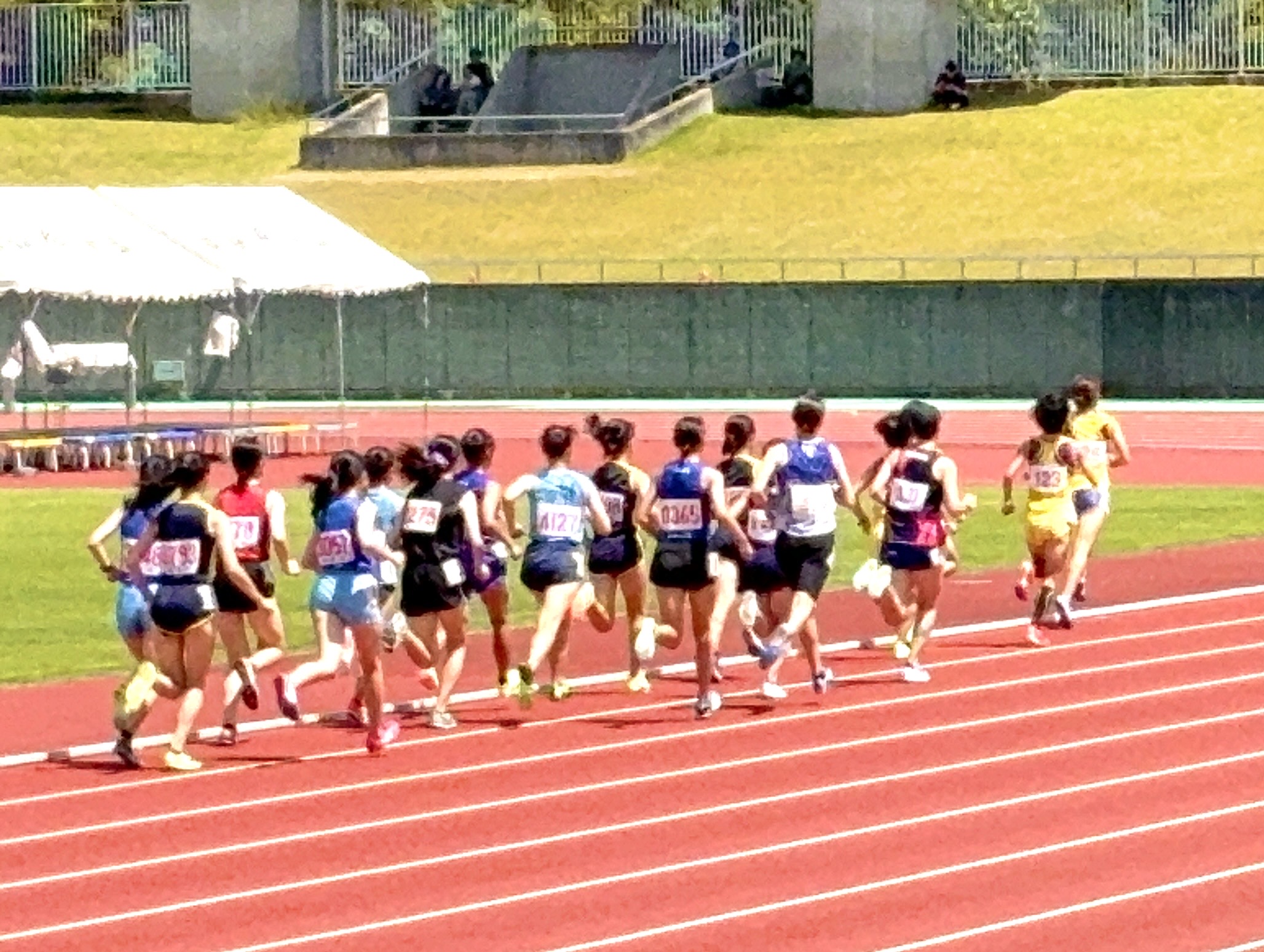 写真：第2回静岡県中部陸協記録会