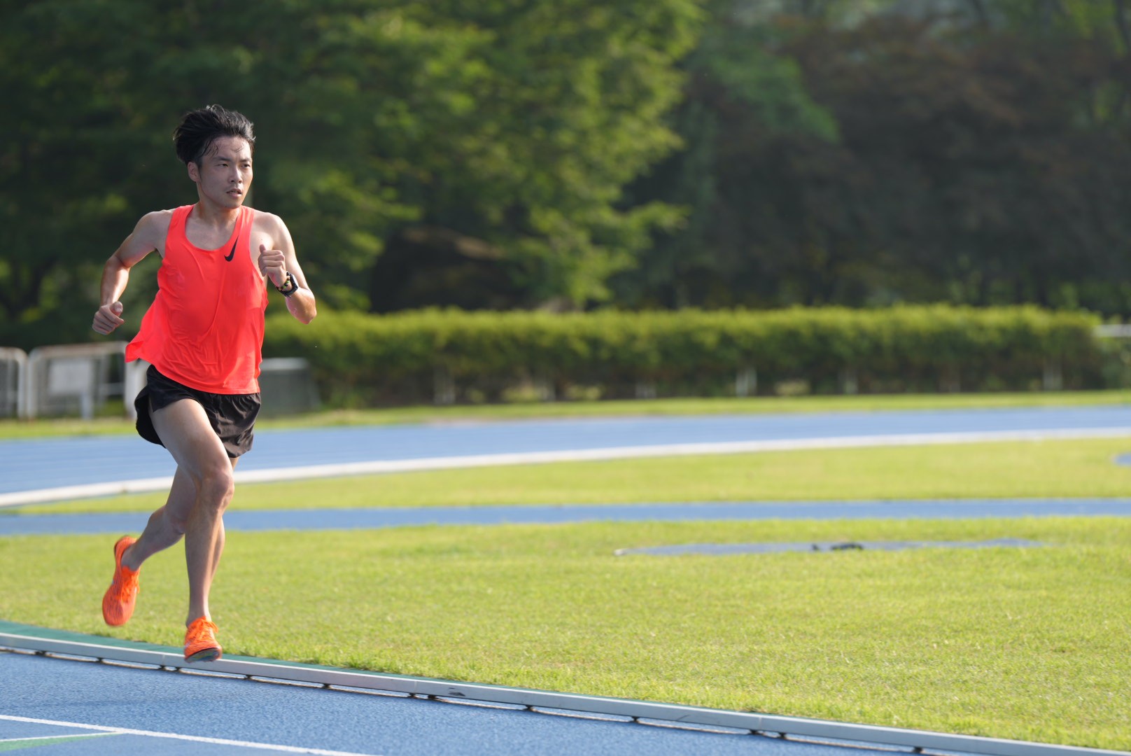 選手写真：加井 虎造